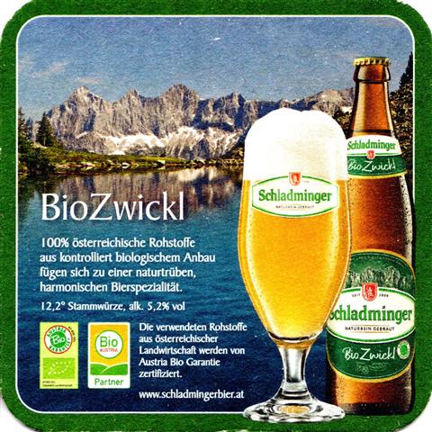 schladming st-a schladminger quad 4b (185-bio zwickl)